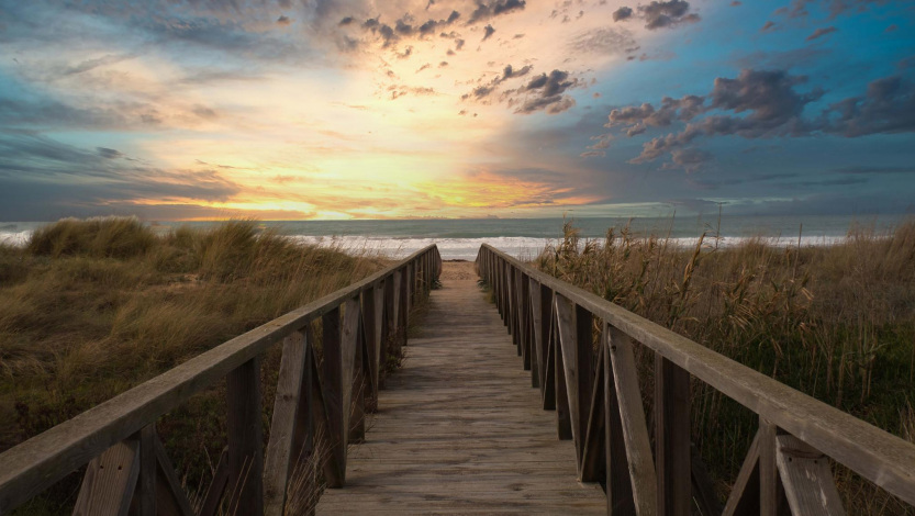 ✓ The coves of Conil de la Frontera