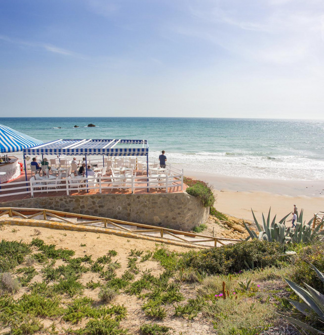 Conil in family  Conil de la Frontera Tourist Portal