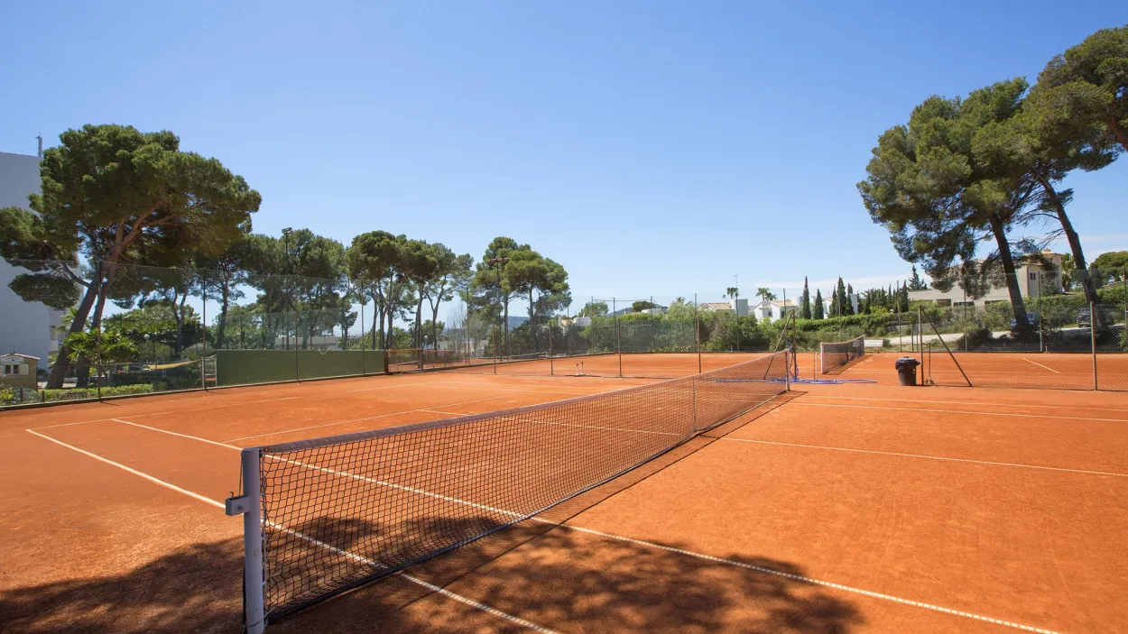 Tenis