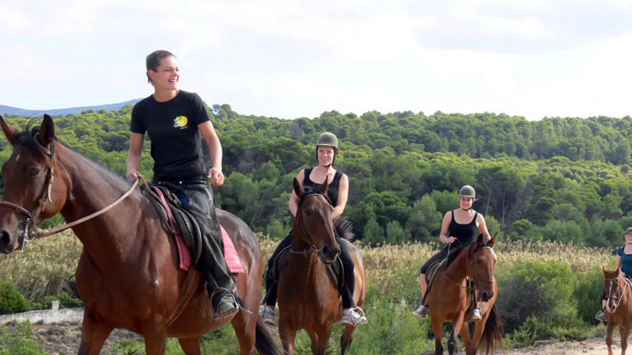 Mallorca Top Activities