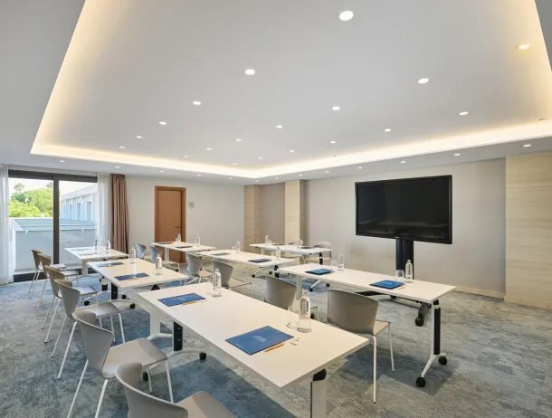 Hipotelsbarrosaparkmeetingroomsevillai