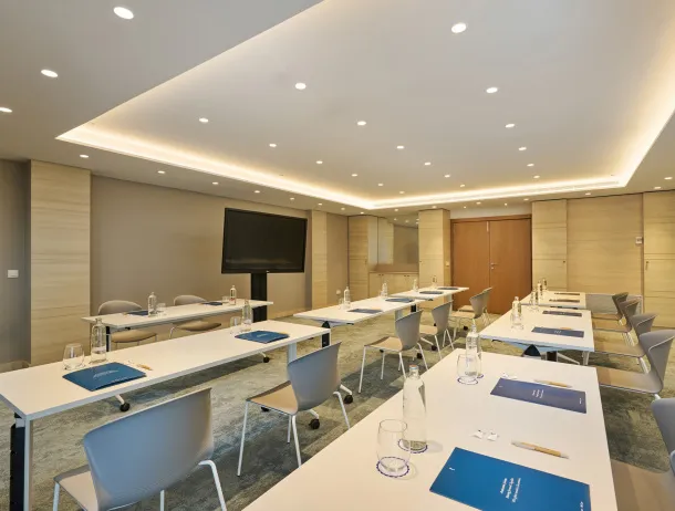 Hipotelsbarrosaparkmeetingroomsevillaii